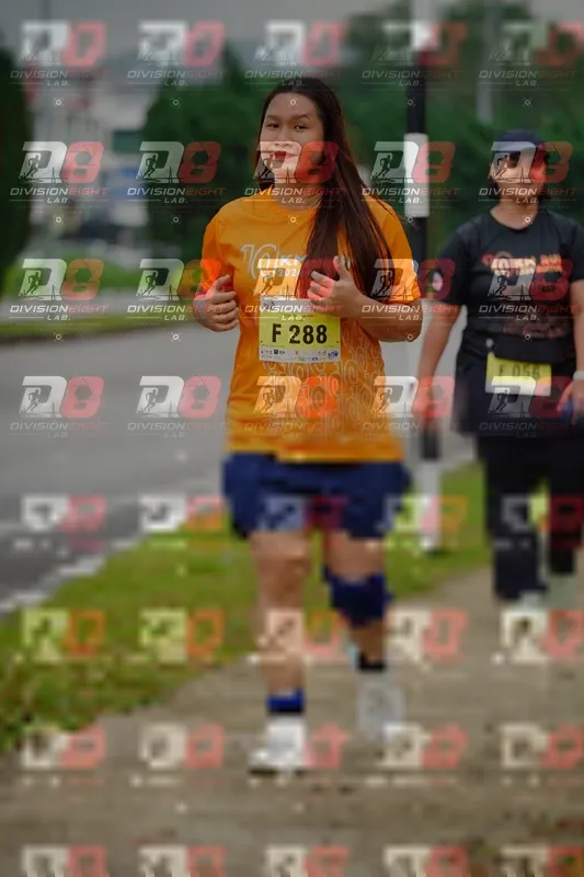Photo ID 8474148