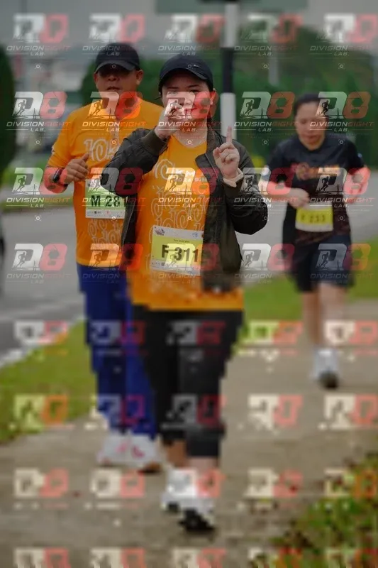Photo ID 8474251
