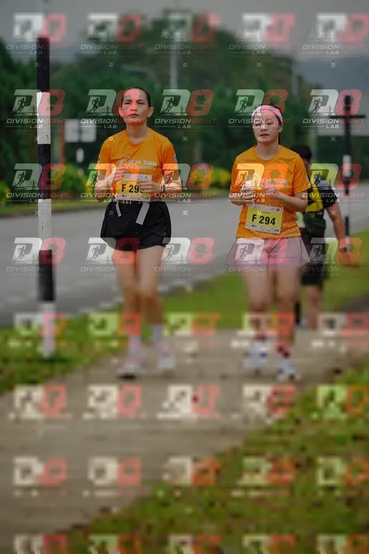 Photo ID 8475143