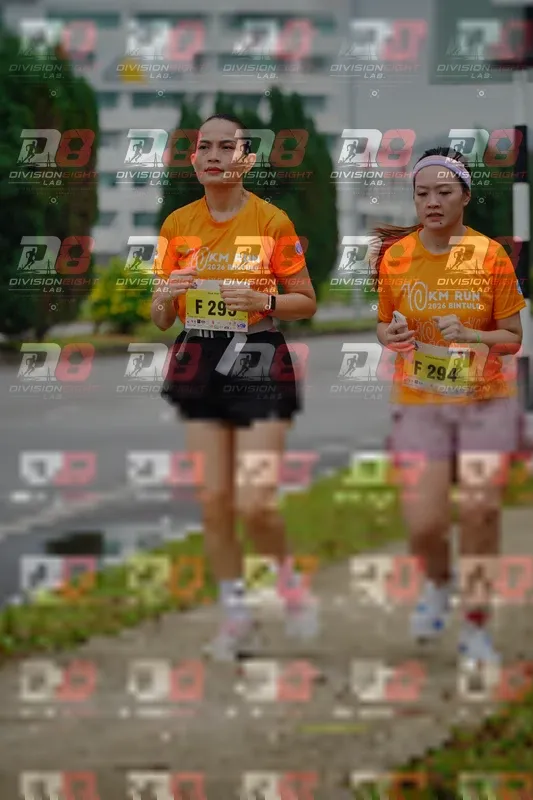 Photo ID 8475225