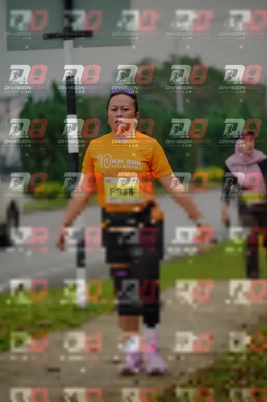 Photo ID 8476509