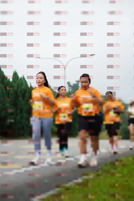 Photo ID 8477920