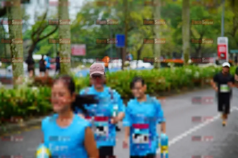 Photo ID 8477990