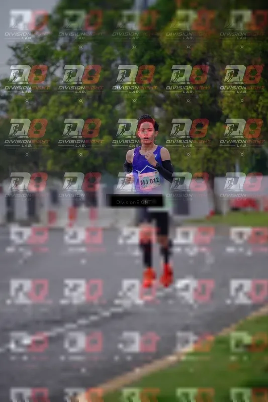 Photo ID 8479589