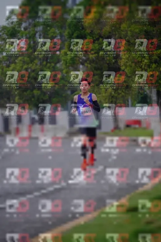 Photo ID 8479595