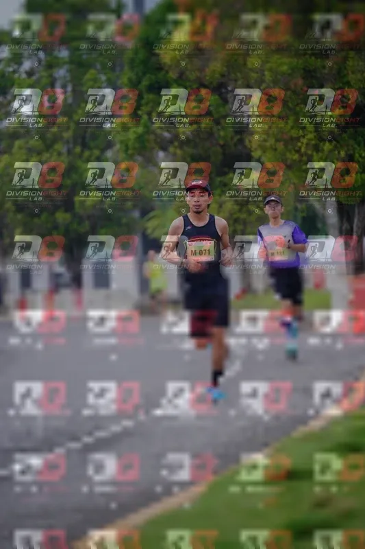 Photo ID 8479992