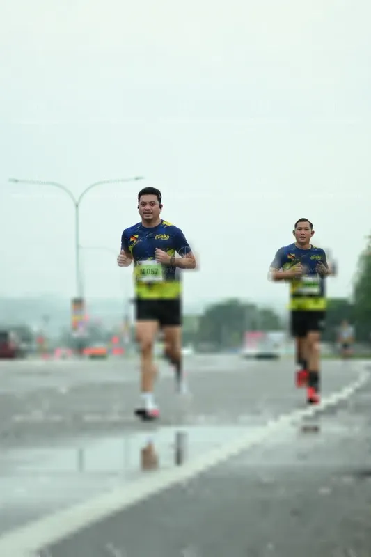 Photo ID 8481584