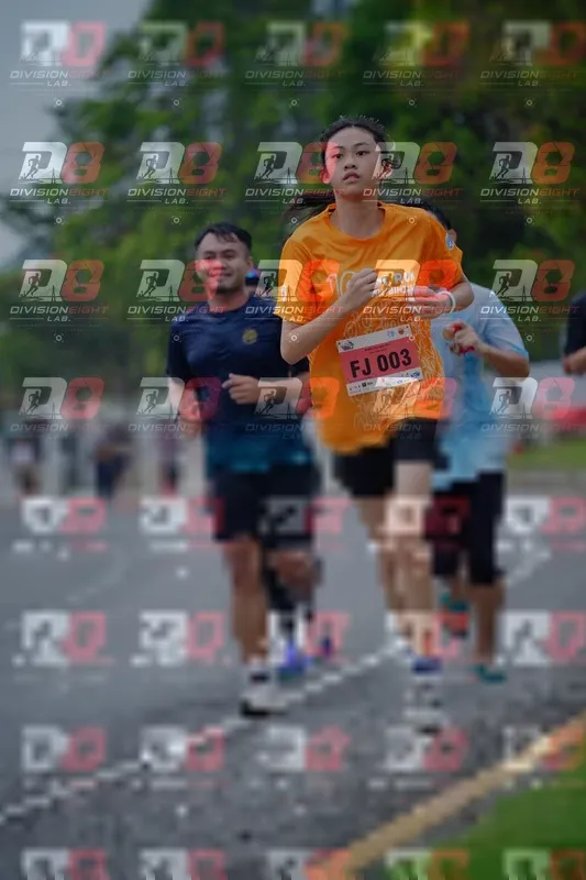 Photo ID 8482119