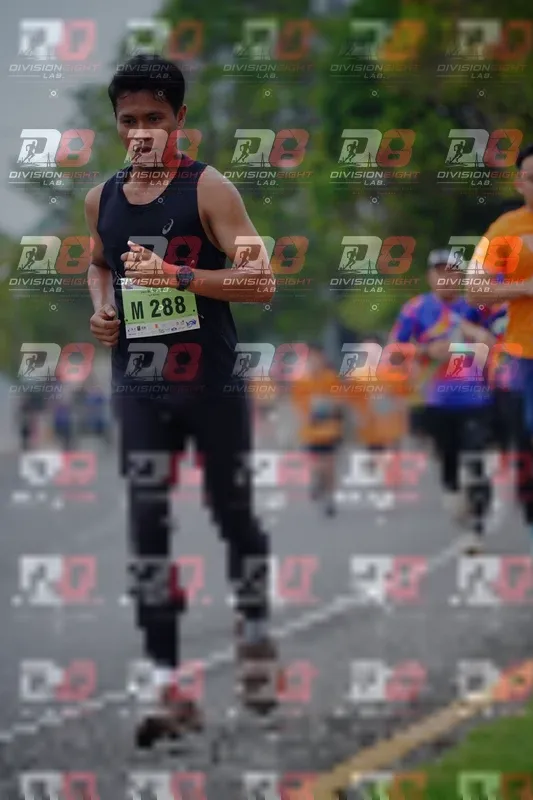 Photo ID 8483096