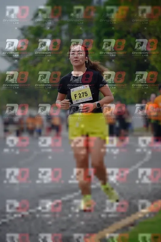 Photo ID 8483903