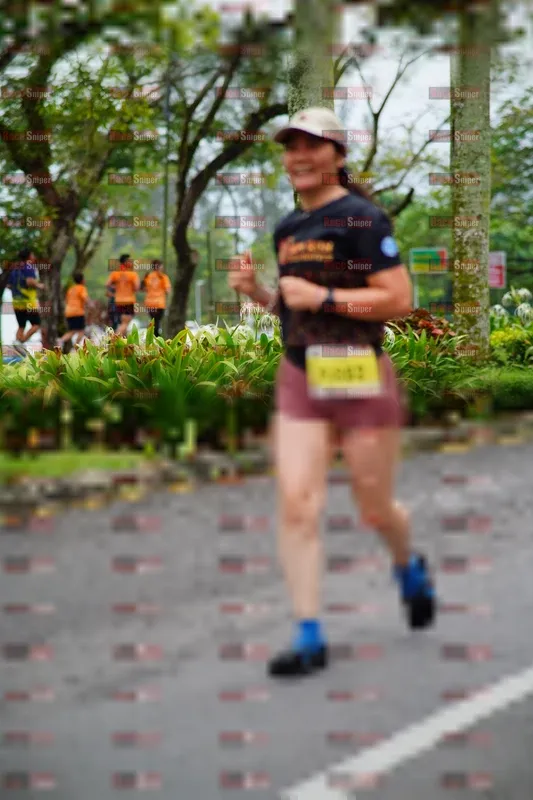 Photo ID 8484112