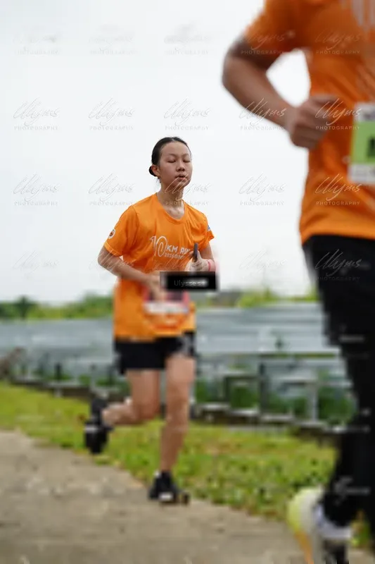 Photo ID 8484960