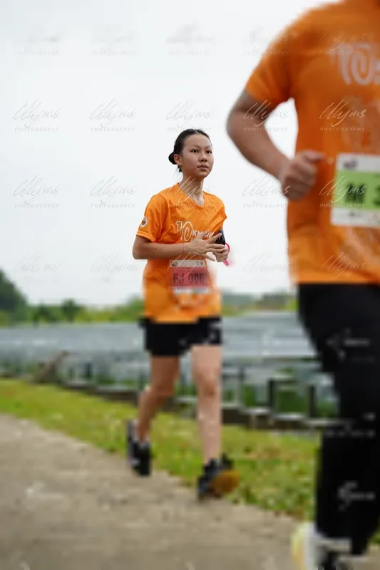 Photo ID 8484986