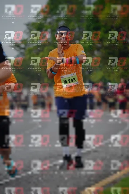 Photo ID 8485939