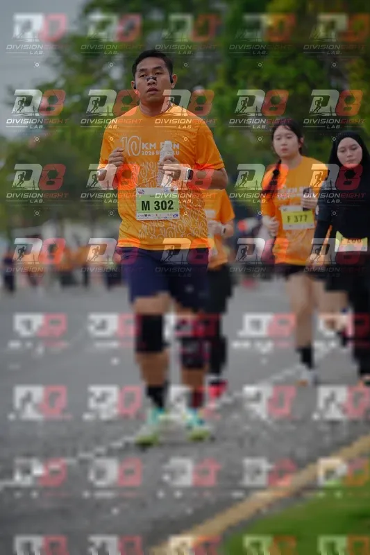 Photo ID 8488384