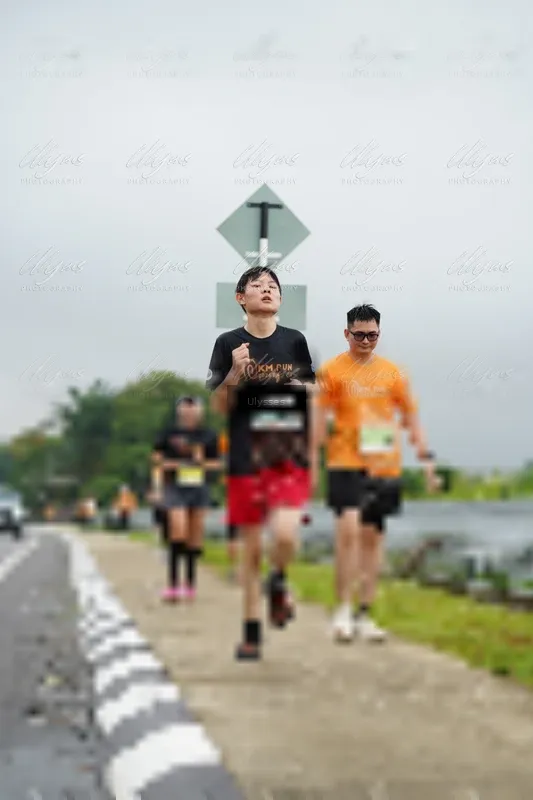 Photo ID 8489474