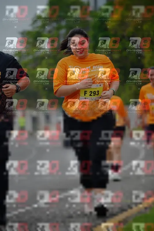Photo ID 8492082