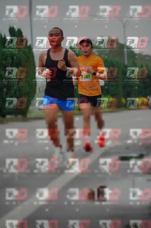 Photo ID 8492979