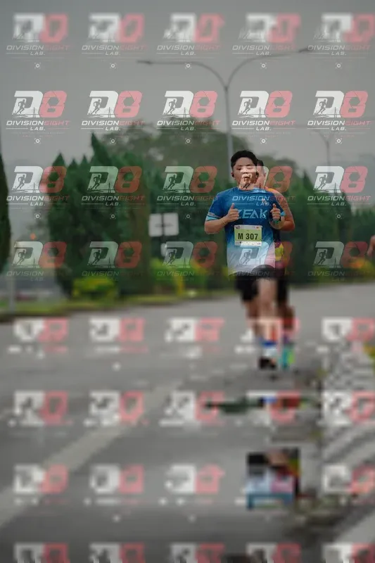 Photo ID 8493044