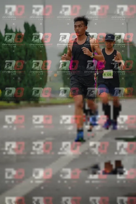 Photo ID 8493212