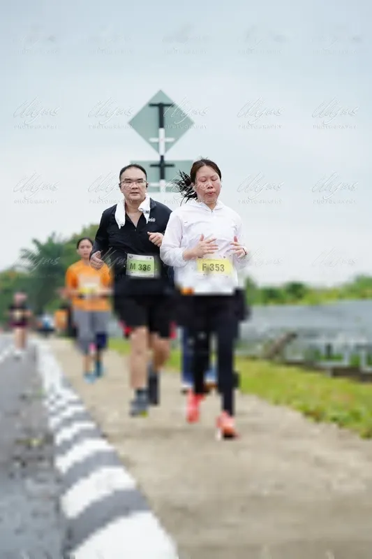 Photo ID 8493295