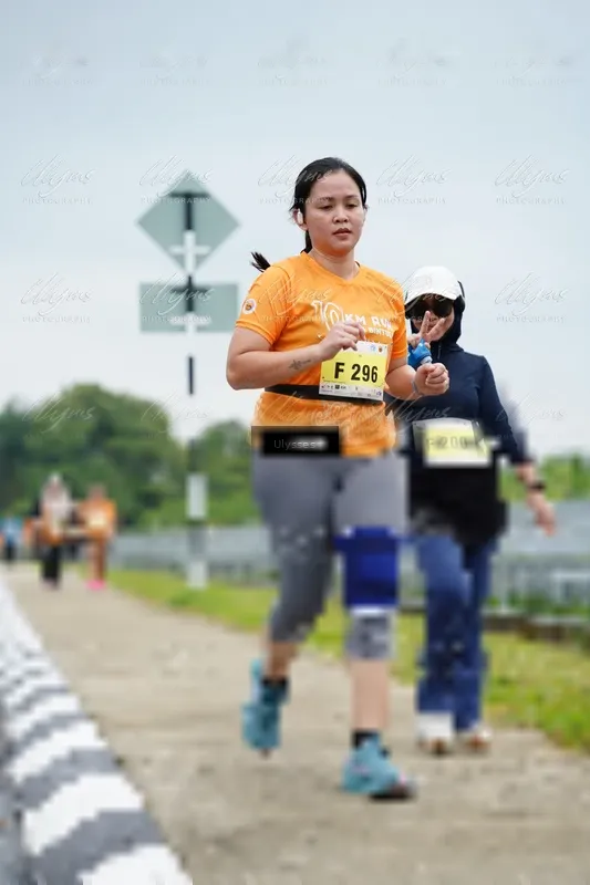 Photo ID 8493313