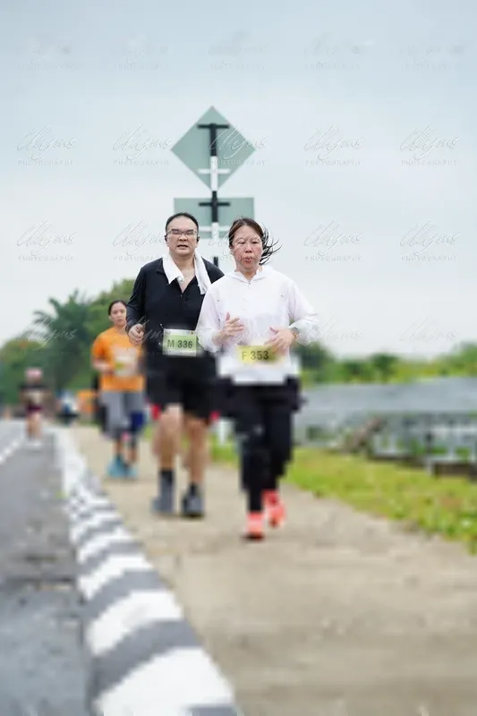 Photo ID 8493332