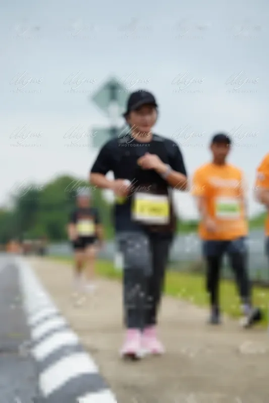 Photo ID 8493477