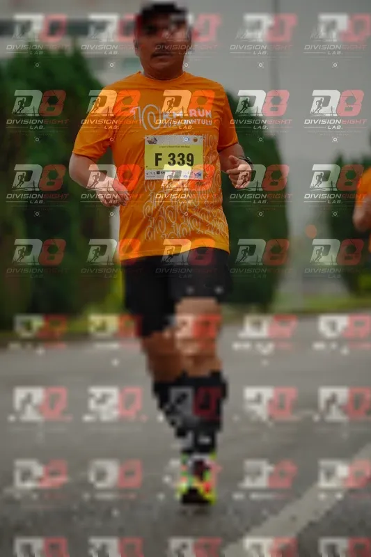 Photo ID 8494531