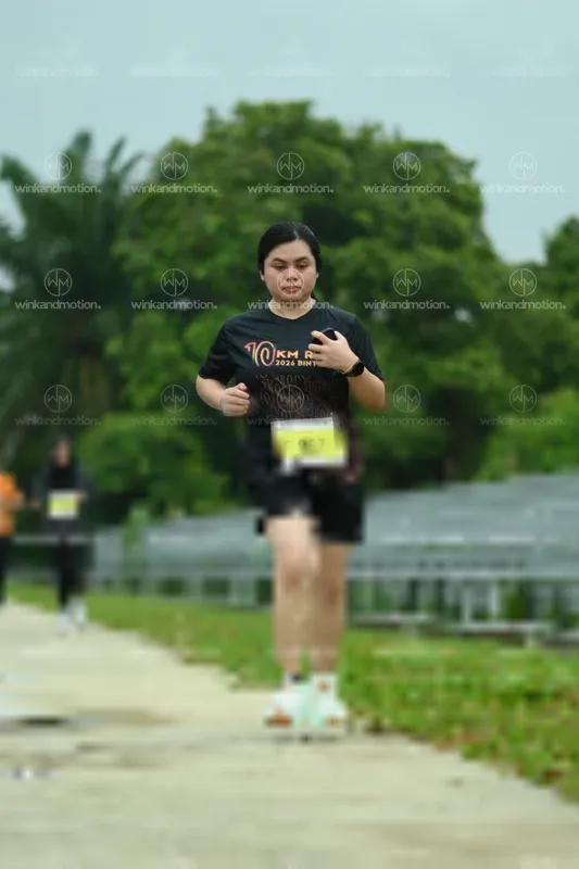 Photo ID 8494562