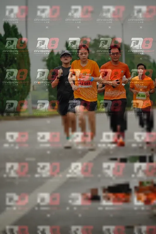 Photo ID 8494910