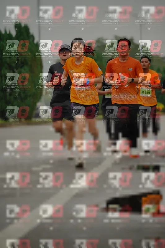 Photo ID 8494991