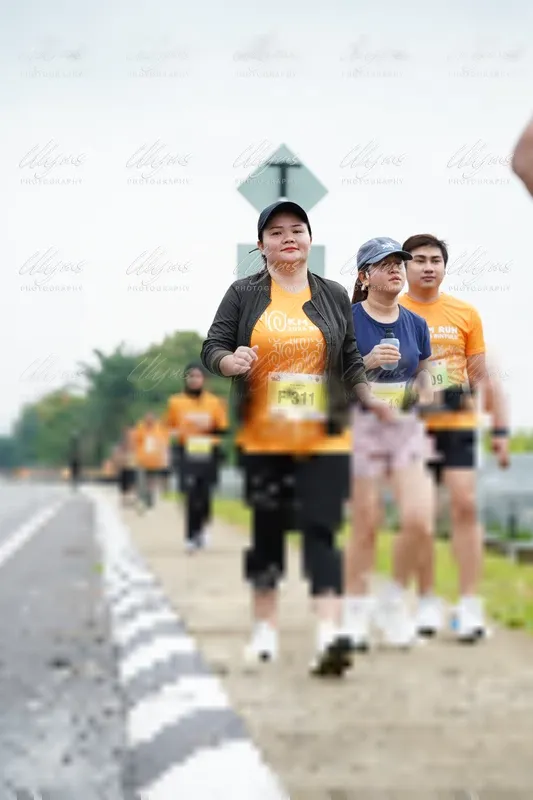 Photo ID 8495117