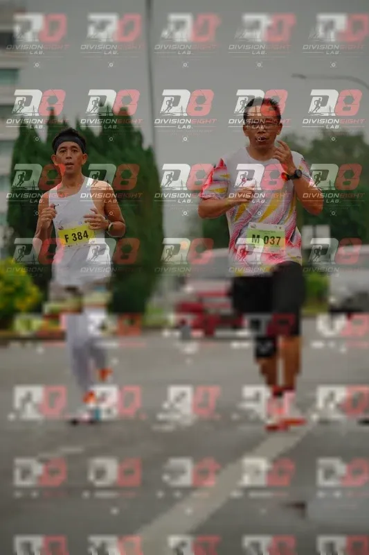 Photo ID 8495282