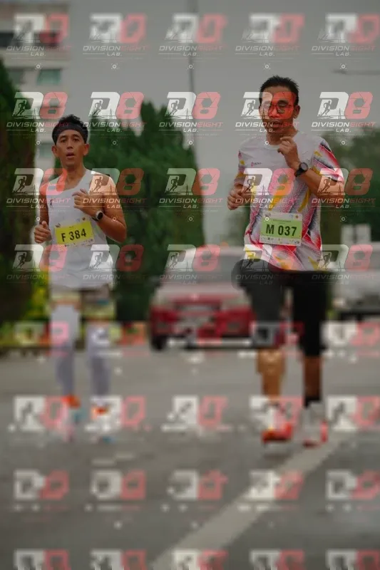 Photo ID 8495310