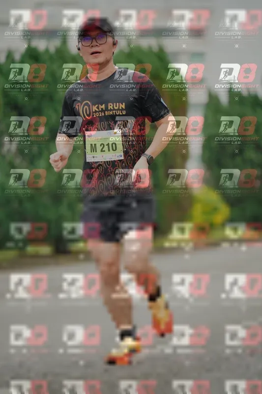 Photo ID 8495602