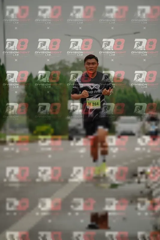 Photo ID 8495958