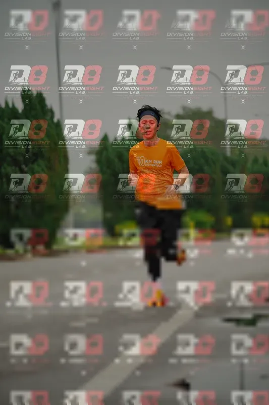Photo ID 8496031