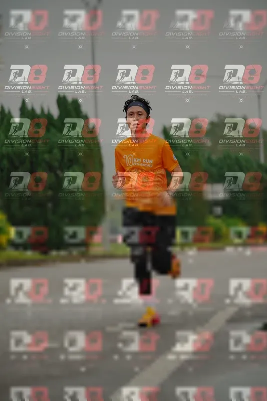 Photo ID 8496056