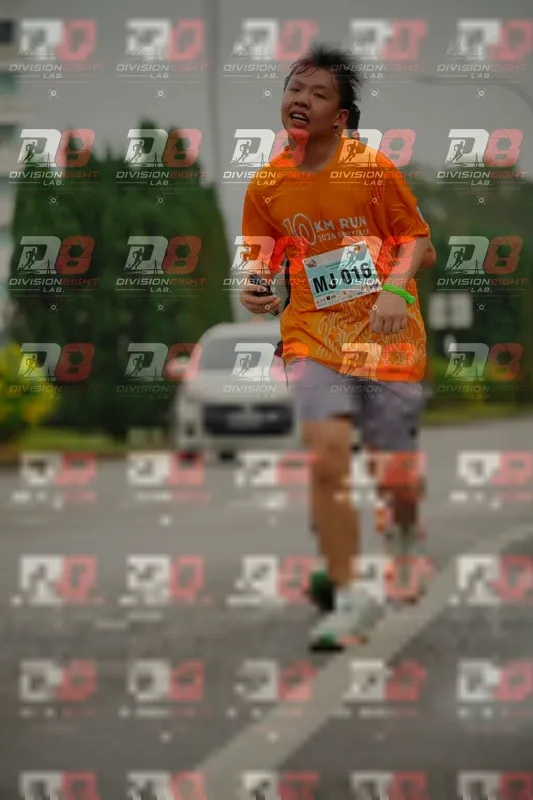 Photo ID 8496320