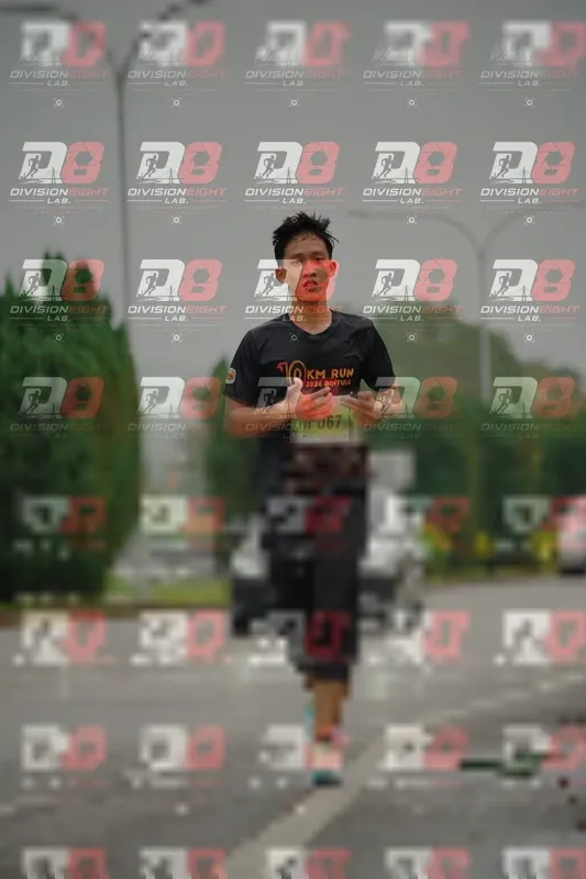 Photo ID 8497599