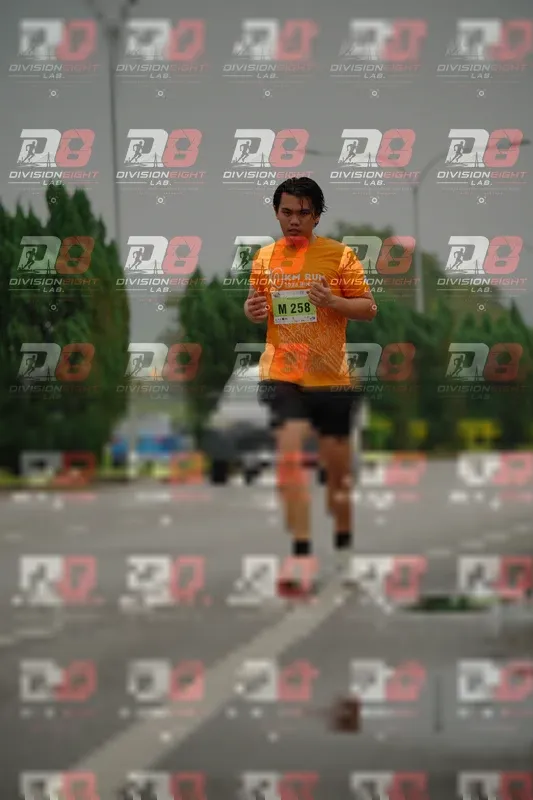 Photo ID 8498837