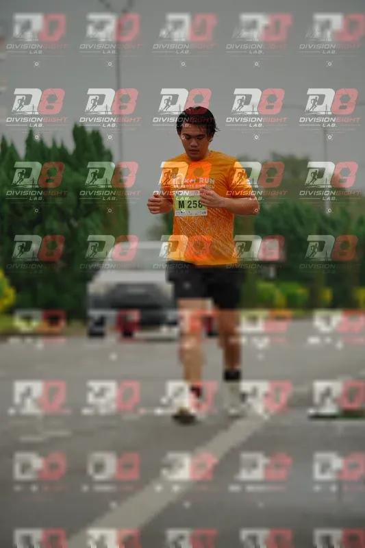 Photo ID 8498878