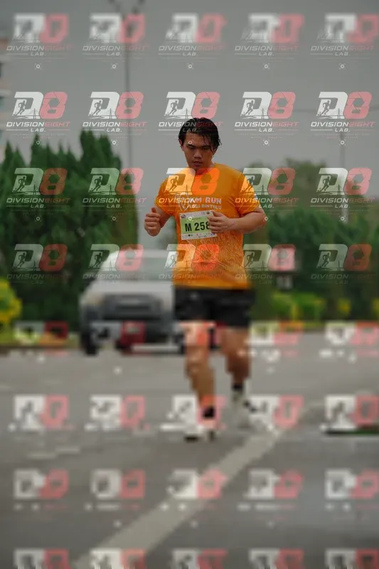 Photo ID 8498991