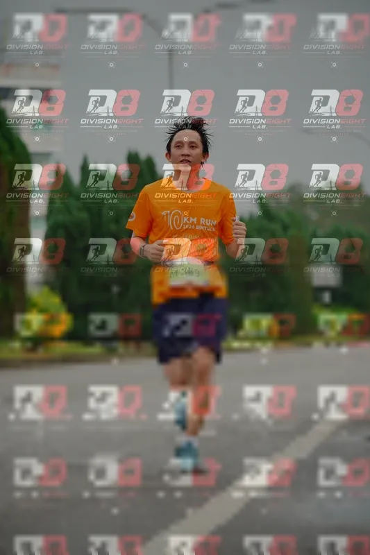 Photo ID 8499134