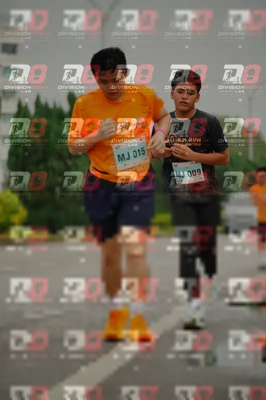 Photo ID 8499296