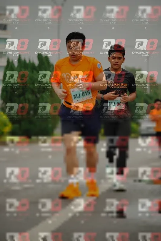 Photo ID 8499305