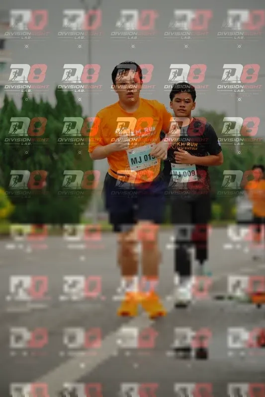 Photo ID 8499388