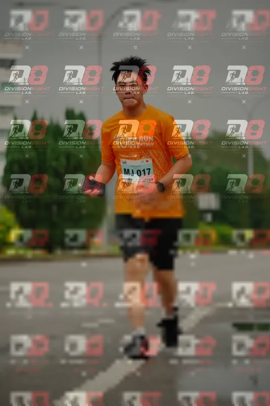 Photo ID 8504060