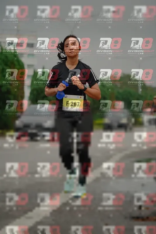 Photo ID 8504692